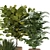 Versatile Indoor Plant Set: 4 Stunning Models 3D model small image 3