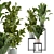 Botanical Bliss: Indoor Plant Collection 3D model small image 2