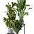 Botanical Bliss: Indoor Plant Collection 3D model small image 3