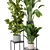 Botanical Bliss: Indoor Plant Collection 3D model small image 4