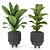 Tropical Garden Plant Set 3D model small image 3