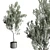 Indoor Olive Tree in Concrete Vase 3D model small image 3