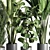 Urban Jungle: Palm, Ficus, & Monstera in Concrete Vase 3D model small image 6