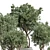 189 Concrete Dirt Vase Pot Tree 3D model small image 3