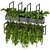 Elegant Hanging Plant Collection 3D model small image 1