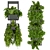 Elegant Hanging Plant Collection 3D model small image 3