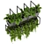 Elegant Hanging Plant Collection 3D model small image 4