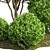 Outdoor Plant Vol 42 - High-Quality 3D Model 3D model small image 4