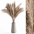 Natural Pampas Grass Bundle Set 3D model small image 1