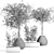 Indoor Plant Collection - Set of 50 3D model small image 3