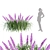 Flowering Bush Collection: Outdoor Beauty 3D model small image 2