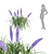 Flowering Bush Collection: Outdoor Beauty 3D model small image 3