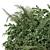 Outdoor Plants Bush Set 3D model small image 3