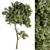 Mini Maple Needle Tree - Set 71 3D model small image 2