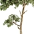 Mini Maple Needle Tree - Set 71 3D model small image 5