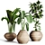 51 Indoor Plant Collection 3D model small image 1