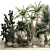 Tropical Desert Plants Collection 3D model small image 2