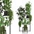 Sleek Indoor Plant Set 3D model small image 1