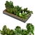 Leafy Delight: Collection Plant Vol. 313 Outdoors 3D model small image 1