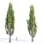 Poplar Tree Collection Vol 76: Tall and Realistic Models 3D model small image 2