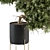 Indoor Tree Set in Black Pot 3D model small image 2