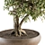 Zen Bonsai: Indoor Plant Set 3D model small image 3