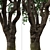 Black Olive Tree Set: Enchant Your Space 3D model small image 2