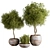 Green Oasis: Indoor Houseplant Set 3D model small image 1