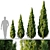 Exquisite Thuja 2015: V-Ray/Corona 3D model small image 1