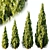 Exquisite Thuja 2015: V-Ray/Corona 3D model small image 2