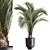Areca Palm: Decorative Indoor Exotic 3D model small image 1