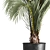 Areca Palm: Decorative Indoor Exotic 3D model small image 3