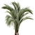 Areca Palm: Decorative Indoor Exotic 3D model small image 4