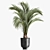 Areca Palm: Decorative Indoor Exotic 3D model small image 5