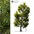 Elegant Landscape Tree - 2014 Edition 3D model small image 1