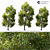 Elegant Landscape Tree - 2014 Edition 3D model small image 2