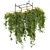 Metal Box Hanging Plants - Set 503 3D model small image 1