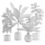 Tropical Indoor Plant Pack: 11 Exotic Varieties 3D model small image 3