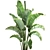 Tropical Plant Collection: Ravenala, Strelitzia, Banana Palm 3D model small image 2