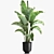 Tropical Plant Collection: Ravenala, Strelitzia, Banana Palm 3D model small image 5