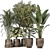 Green Oasis: 5 Indoor Plants Set 3D model small image 1