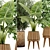 Lush Greens: Indoor Plant Set 3D model small image 2