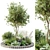 Nature-Inspired Outdoor Plant Set 3D model small image 1