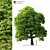 Evergreen Landscape Tree 3D model small image 1