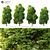 2014 Landscape Tree: Detailed 18м with Corona Render 3D model small image 2