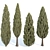 Evergreen Juniper Collection: Vol 78 3D model small image 1