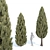 Evergreen Juniper Collection: Vol 78 3D model small image 3