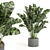Playfully Green: Indoor Plants Collection 3D model small image 1