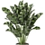 Playfully Green: Indoor Plants Collection 3D model small image 3