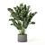 Playfully Green: Indoor Plants Collection 3D model small image 5